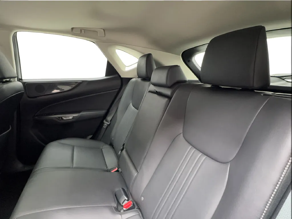 Lexus NX photo 28