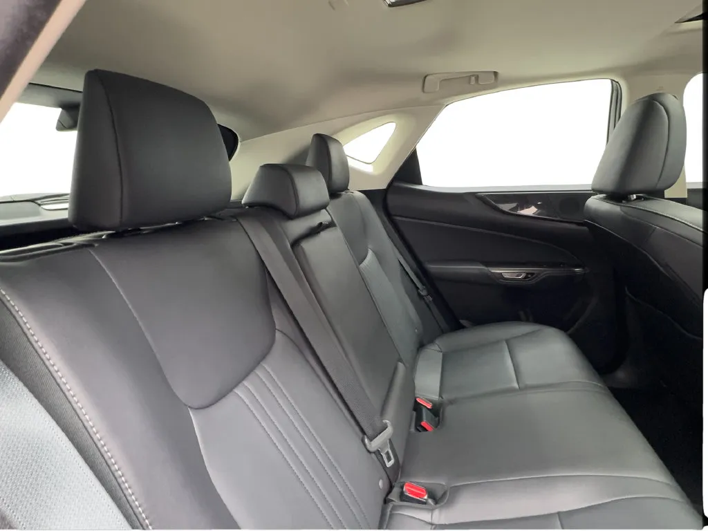 Lexus NX photo 32