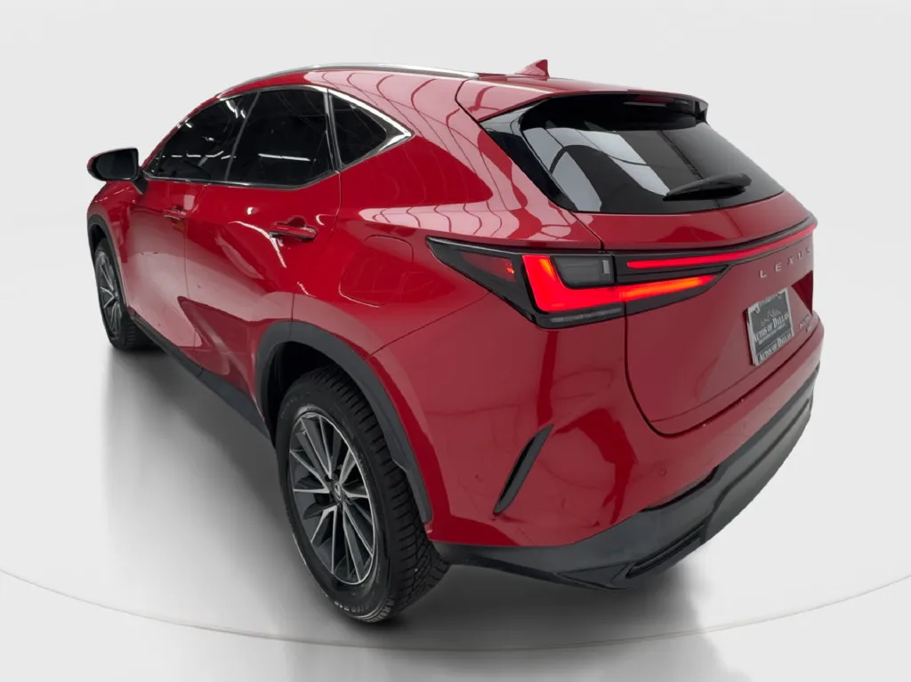 Lexus NX photo 11