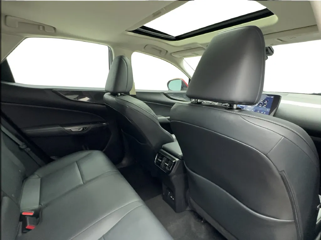 Lexus NX photo 30
