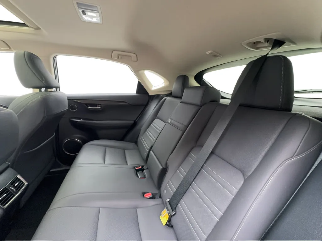 Lexus NX photo 28