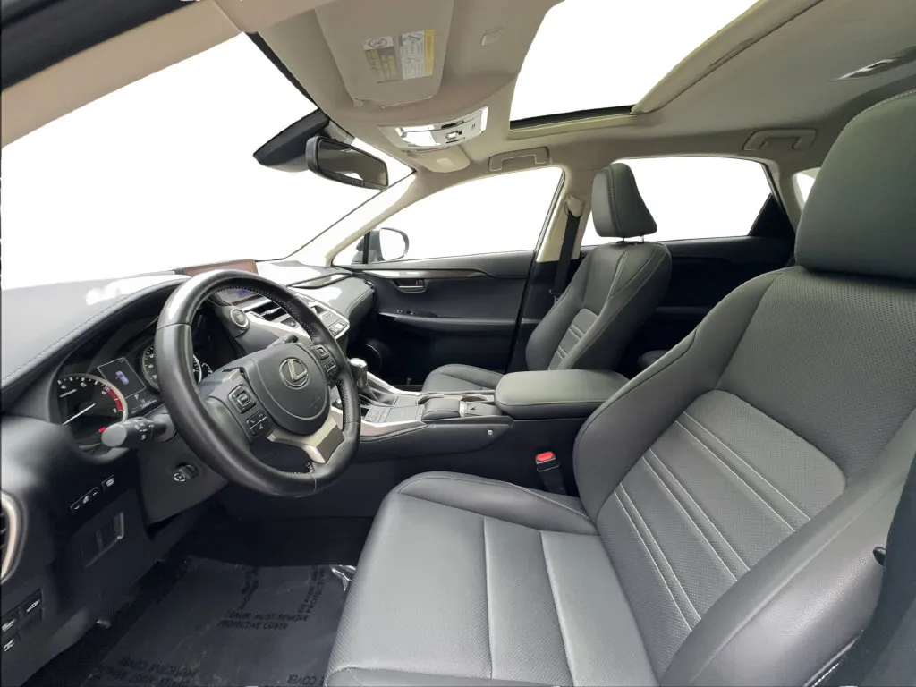 Lexus NX photo 22