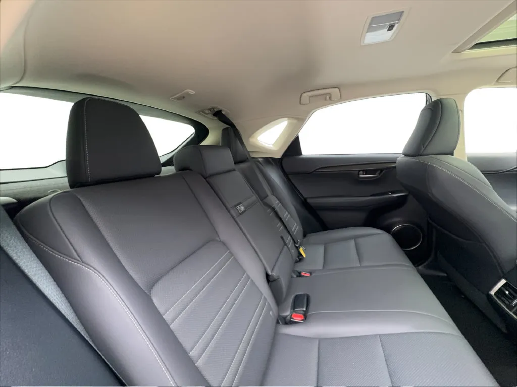 Lexus NX photo 32