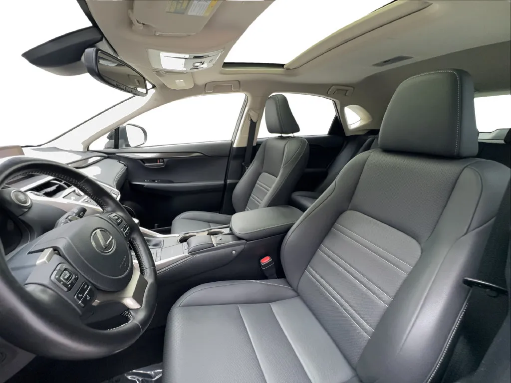 Lexus NX photo 21