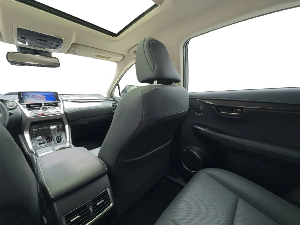 Lexus NX photo 44