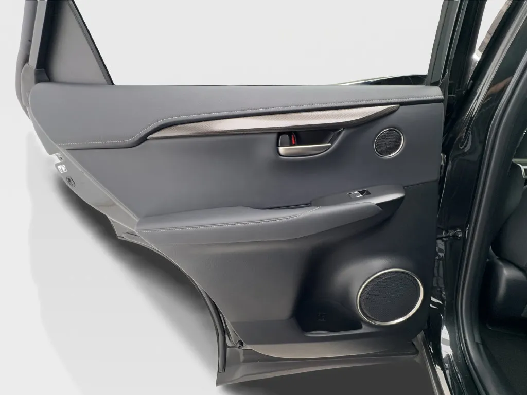Lexus NX photo 29