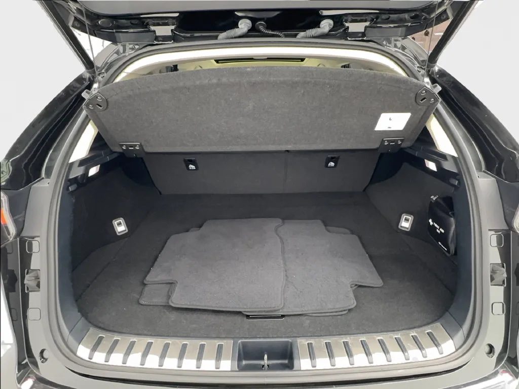 Lexus NX photo 19