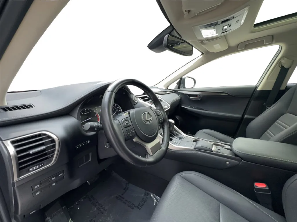 Lexus NX photo 23