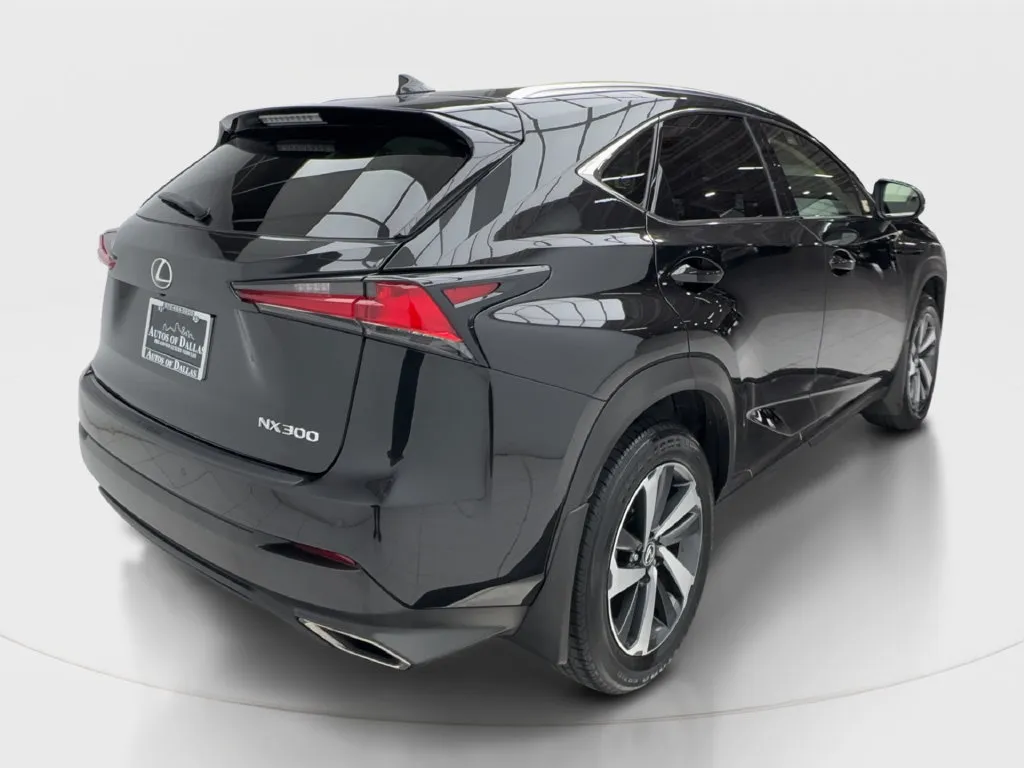 Lexus NX photo 8
