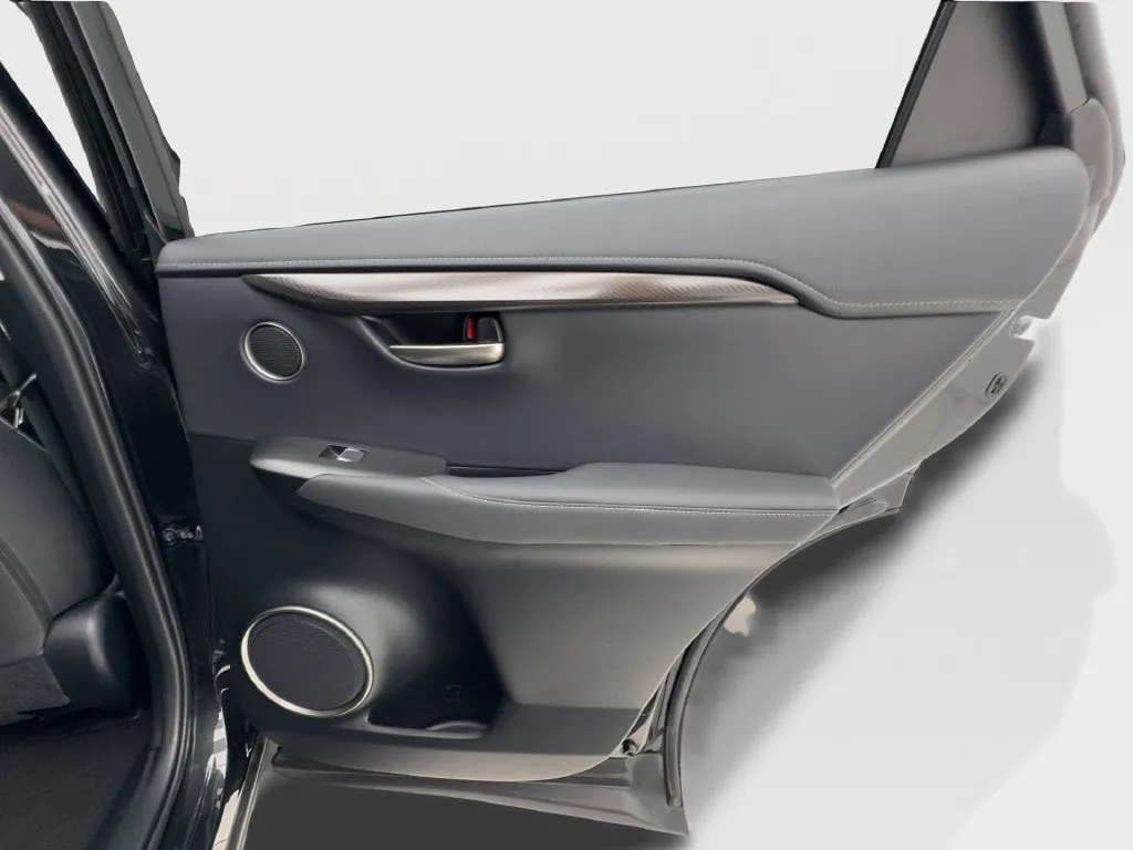 Lexus NX photo 33