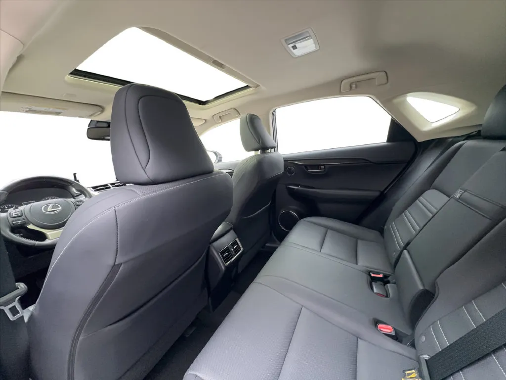 Lexus NX photo 27