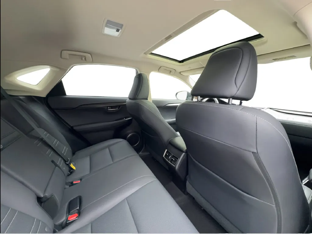 Lexus NX photo 30
