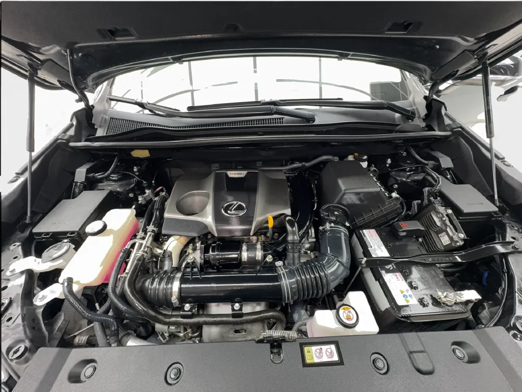 Lexus NX photo 20