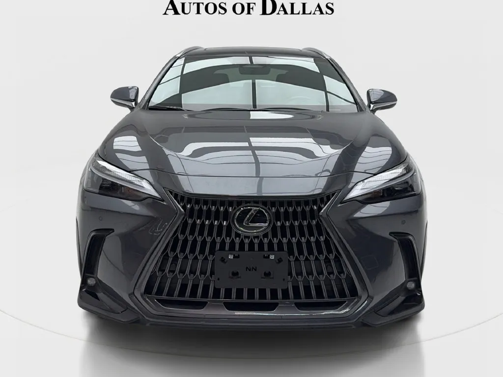 Lexus NX photo 4