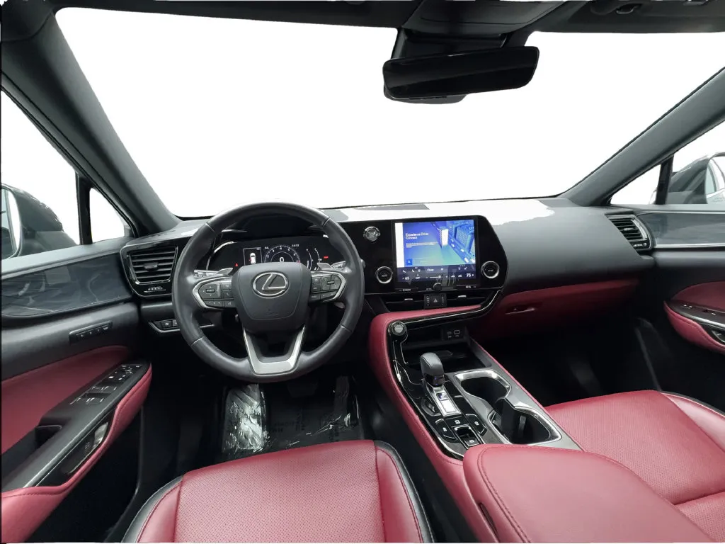 Lexus NX photo 39