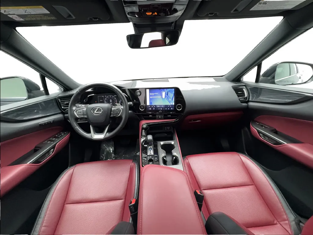 Lexus NX photo 42