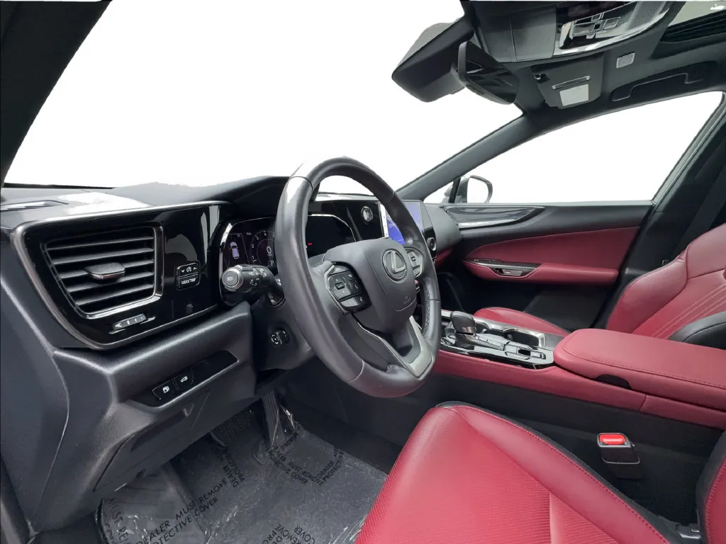 Lexus NX photo 23