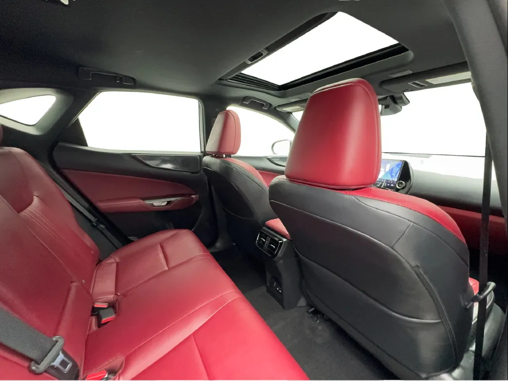 Lexus NX photo 30