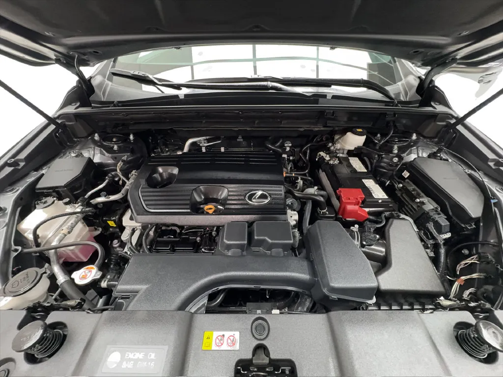 Lexus NX photo 20
