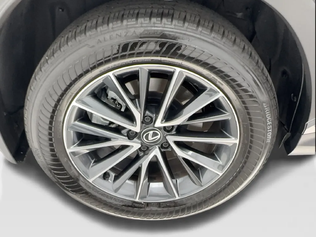 Lexus NX photo 18