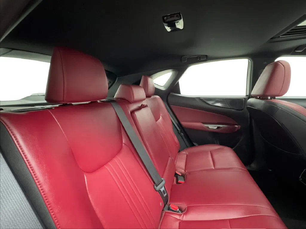 Lexus NX photo 32