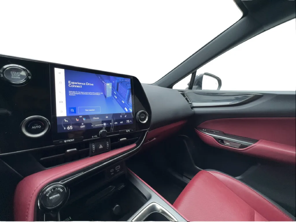 Lexus NX photo 48
