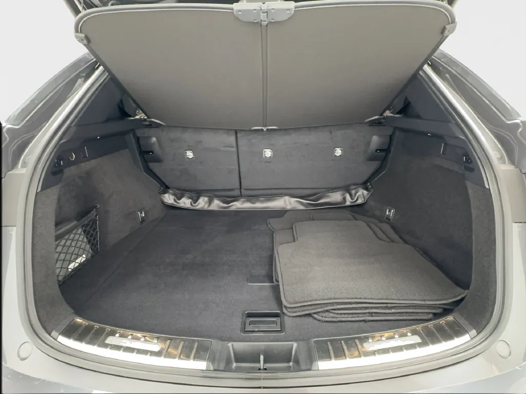 Lexus NX photo 19
