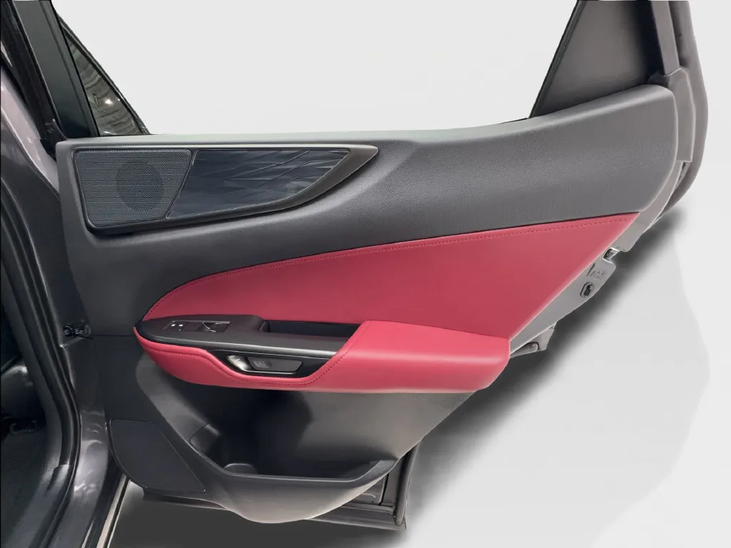 Lexus NX photo 33