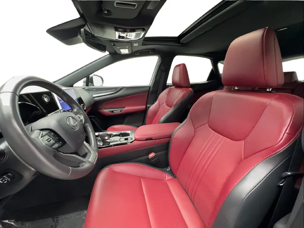 Lexus NX photo 21