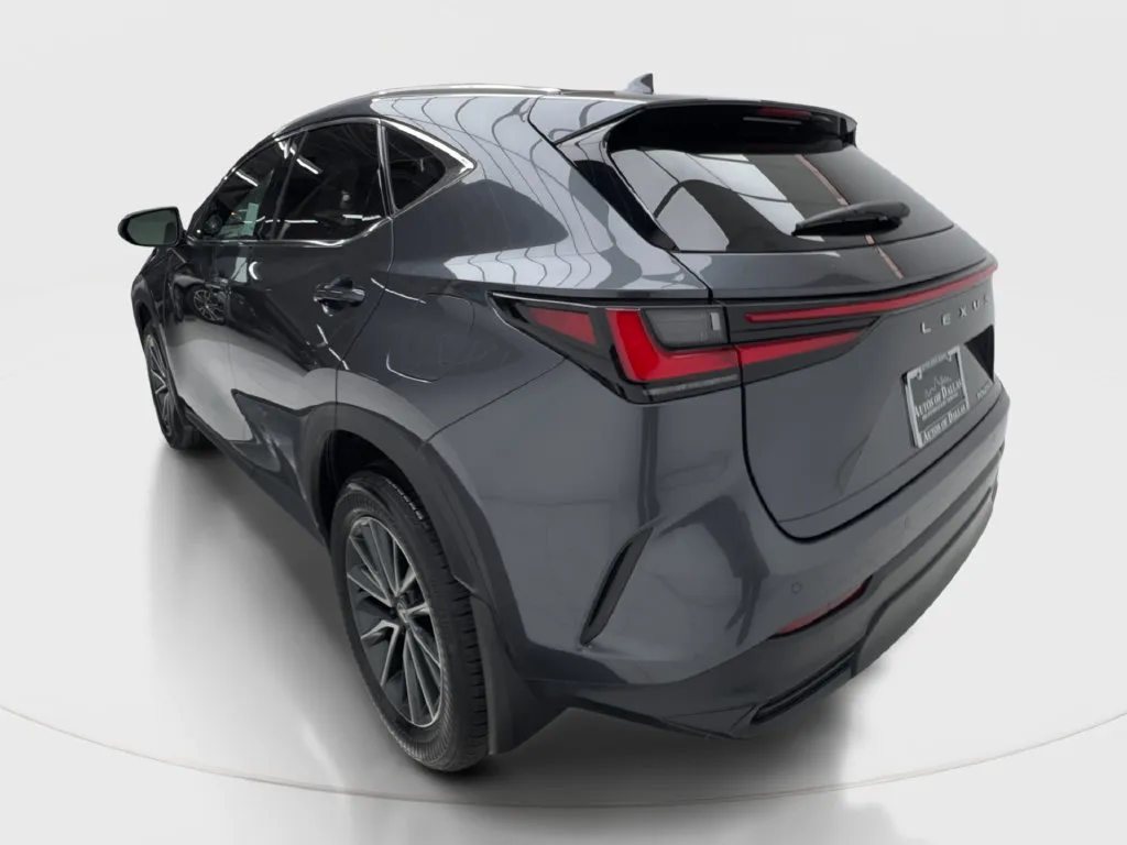 Lexus NX photo 11
