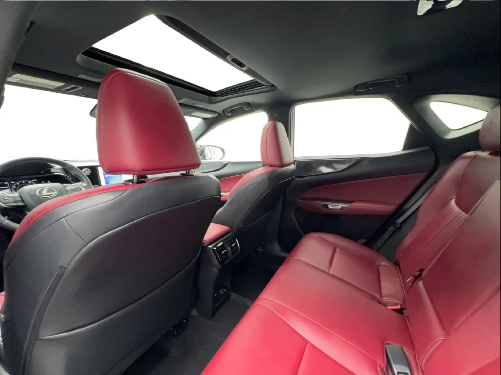 Lexus NX photo 27