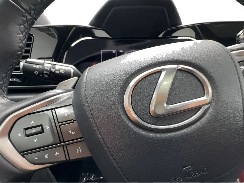 Lexus NX photo 47