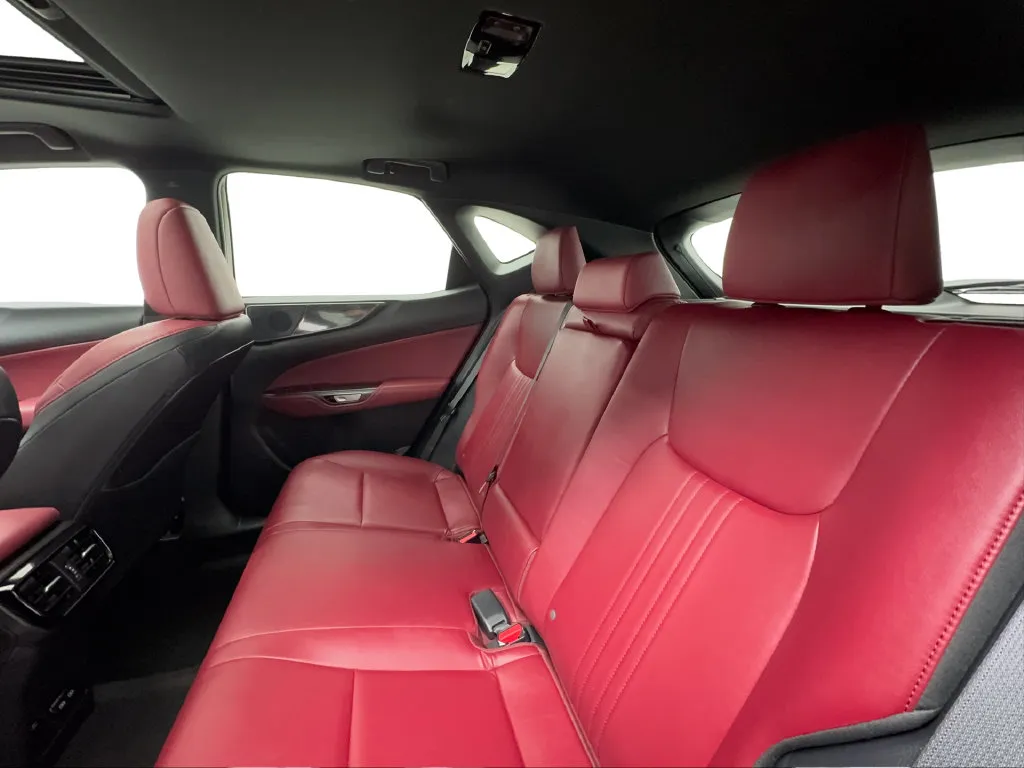 Lexus NX photo 28