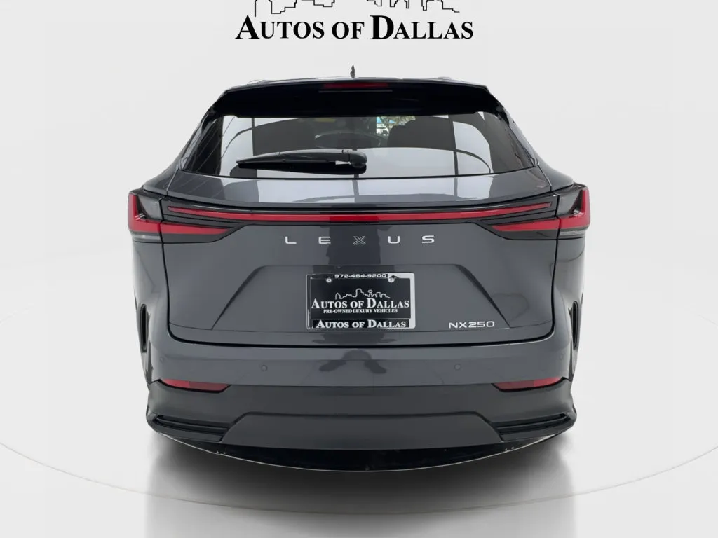 Lexus NX photo 10