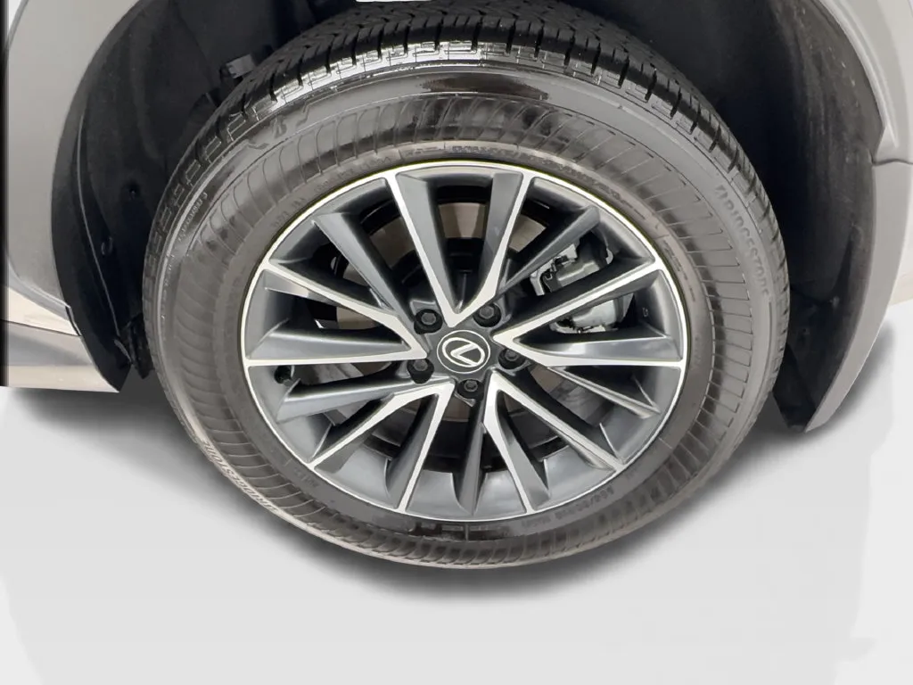 Lexus NX photo 14