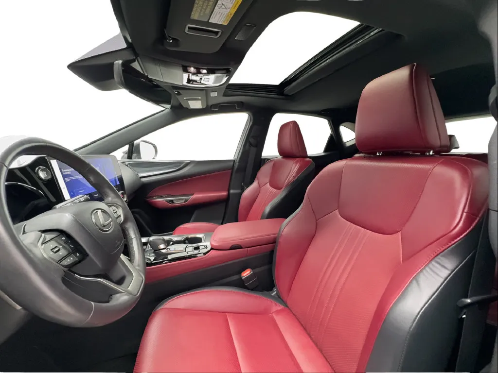 Lexus NX photo 21