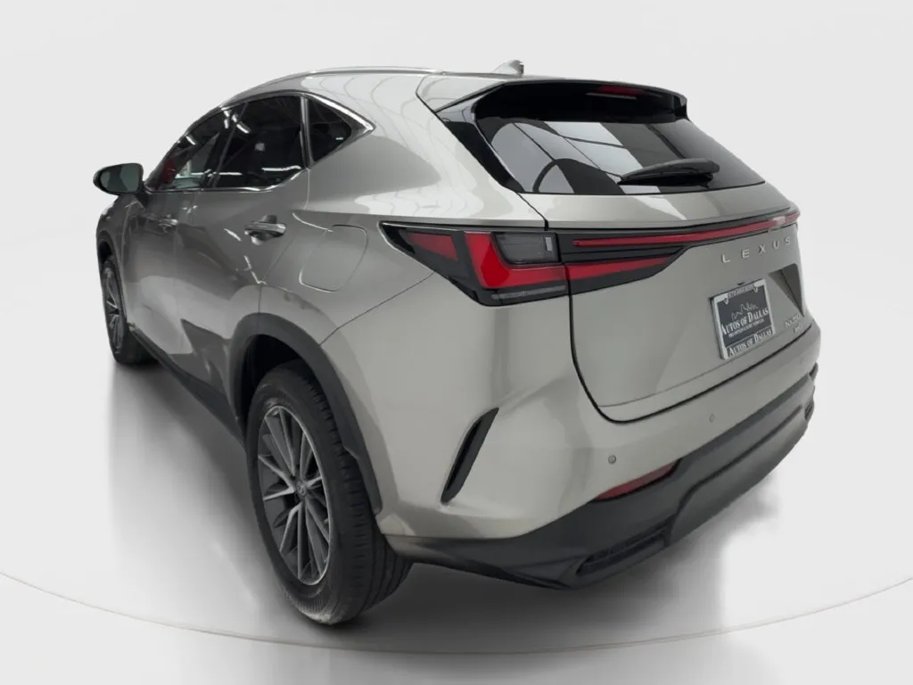 Lexus NX photo 11