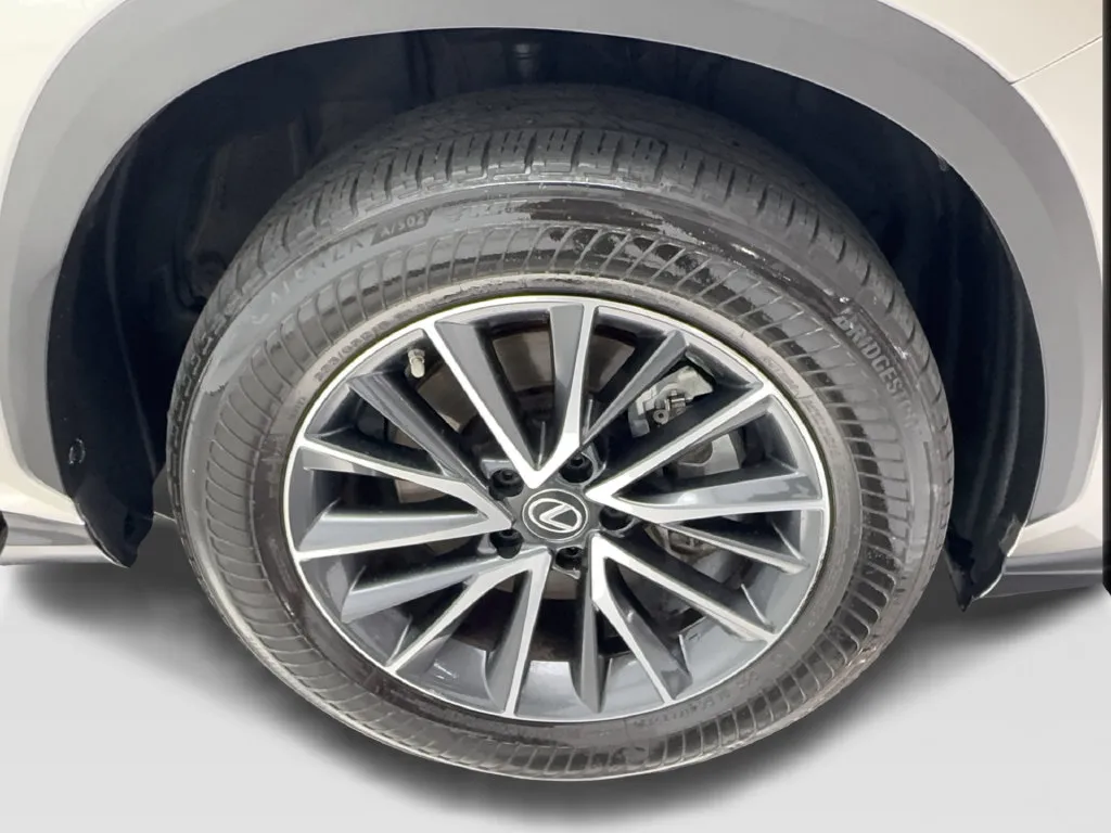 Lexus NX photo 16