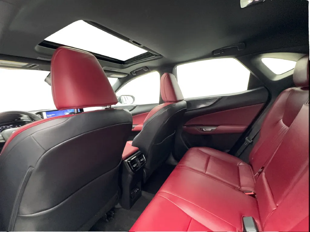 Lexus NX photo 27