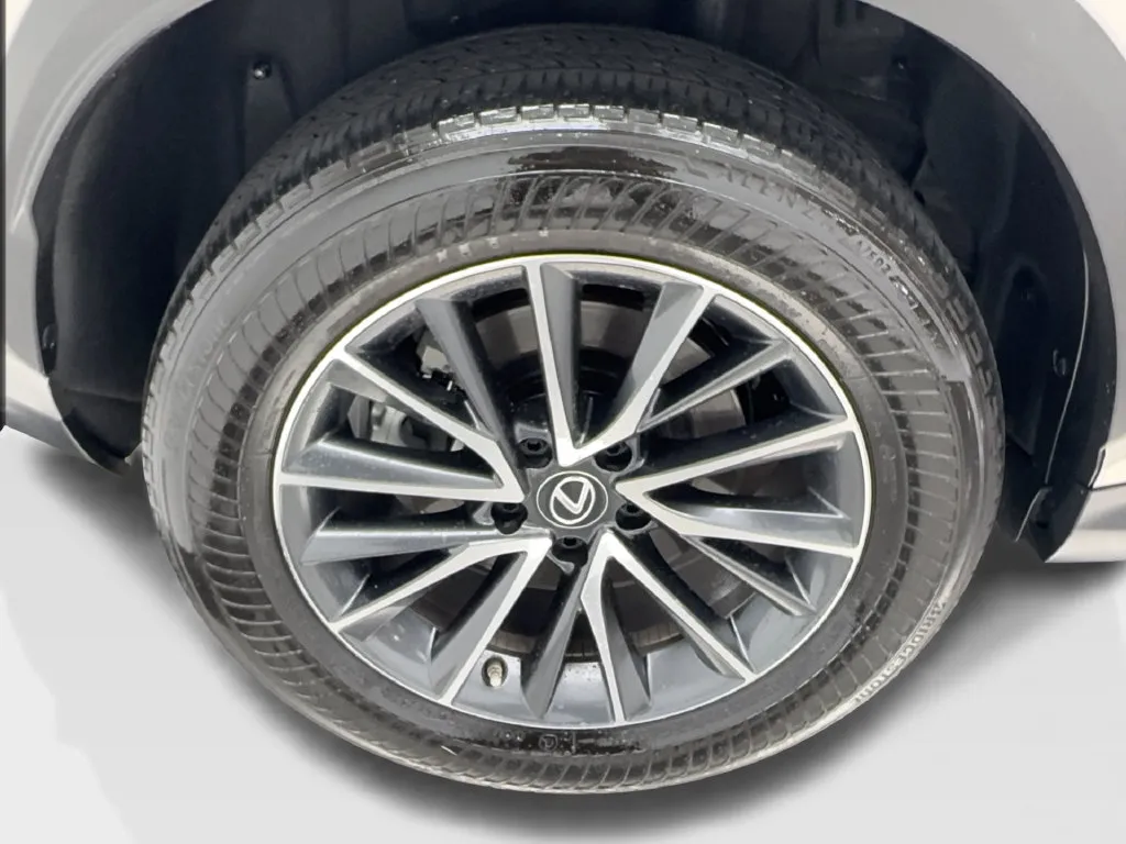 Lexus NX photo 18