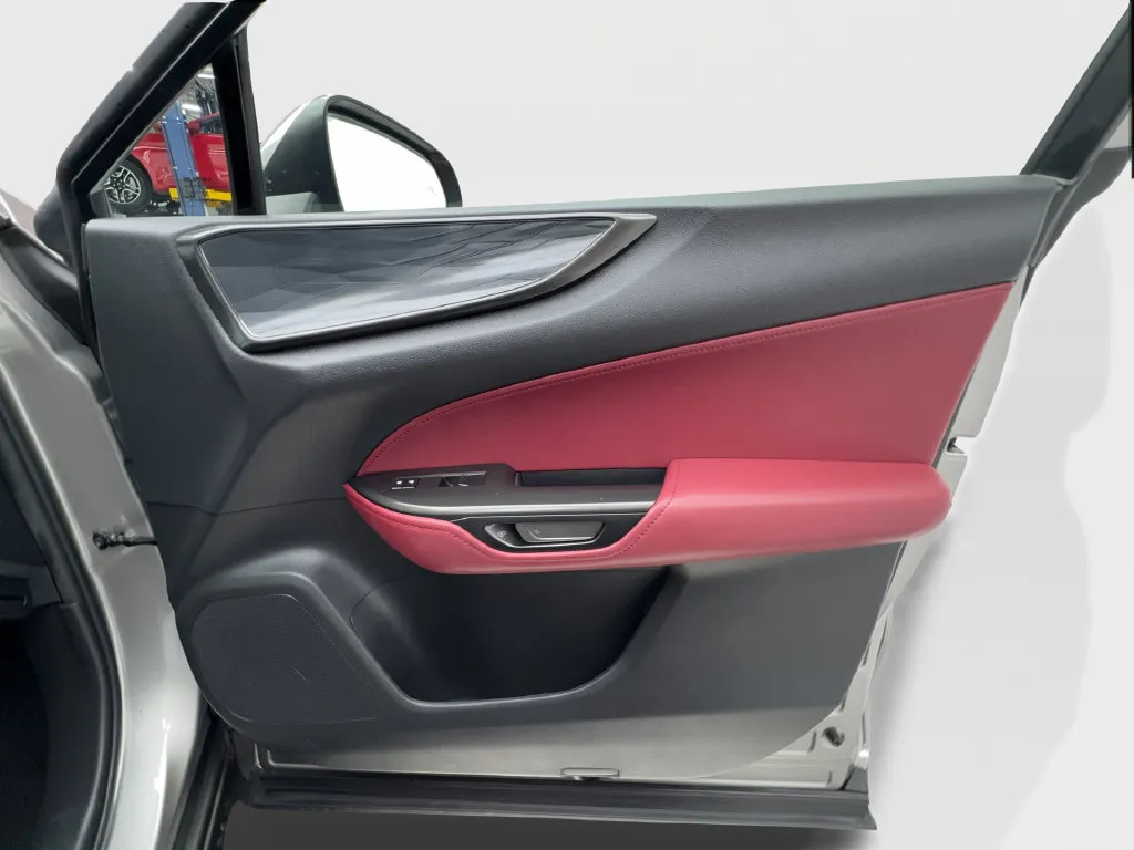 Lexus NX photo 37
