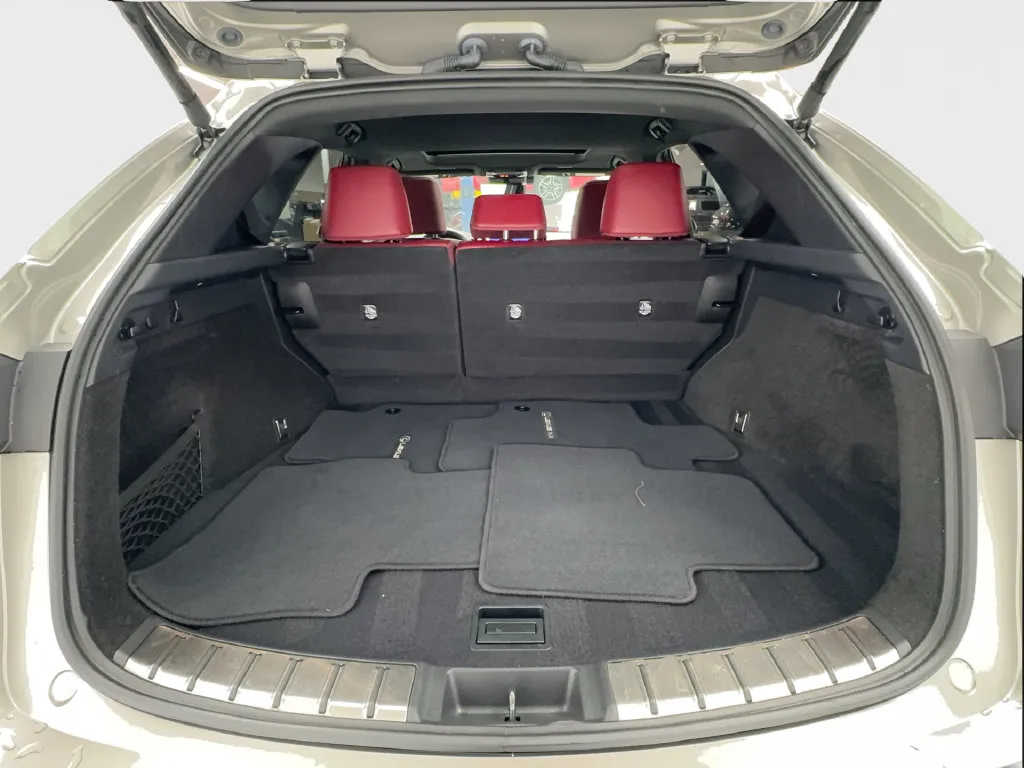 Lexus NX photo 19
