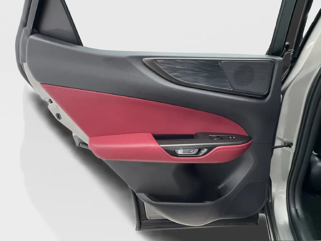 Lexus NX photo 29