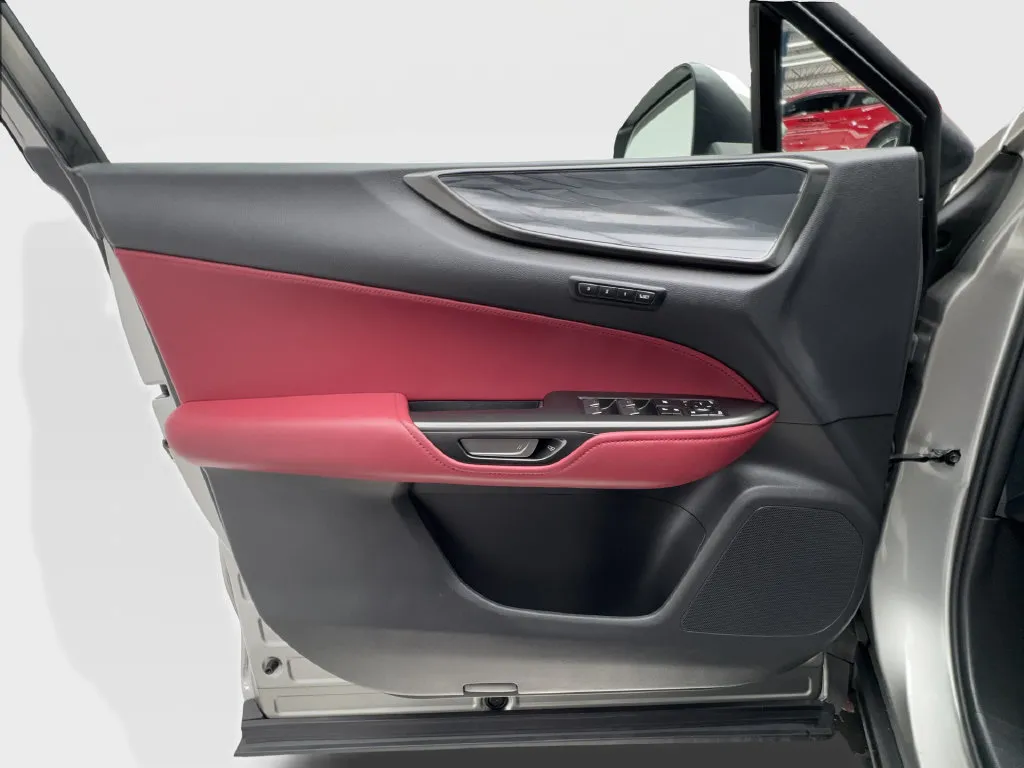Lexus NX photo 26