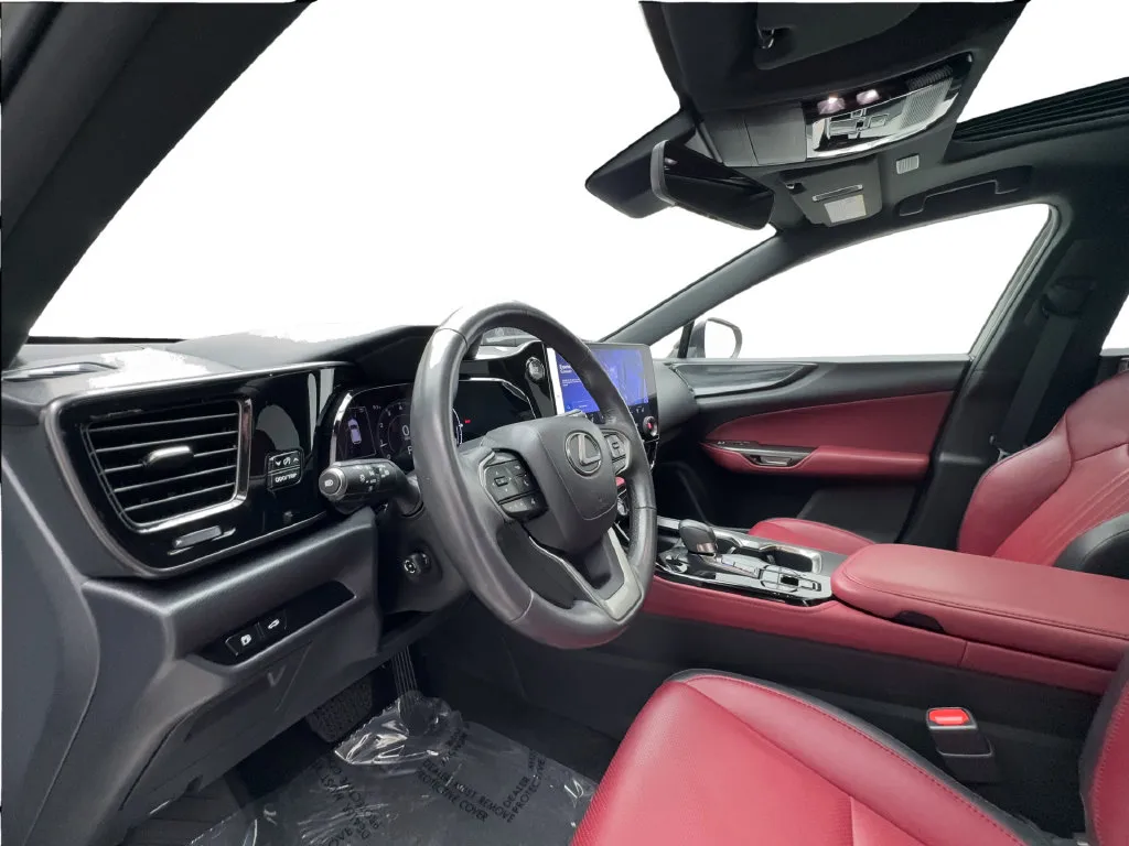 Lexus NX photo 23