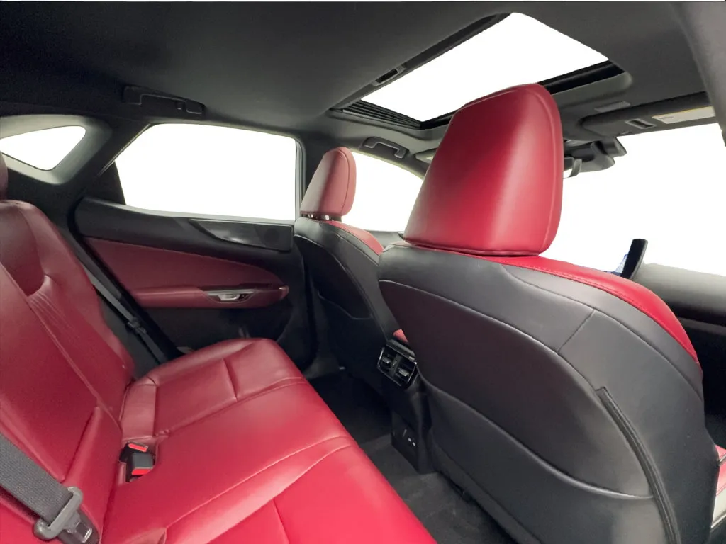 Lexus NX photo 30