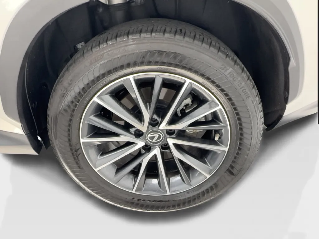 Lexus NX photo 14
