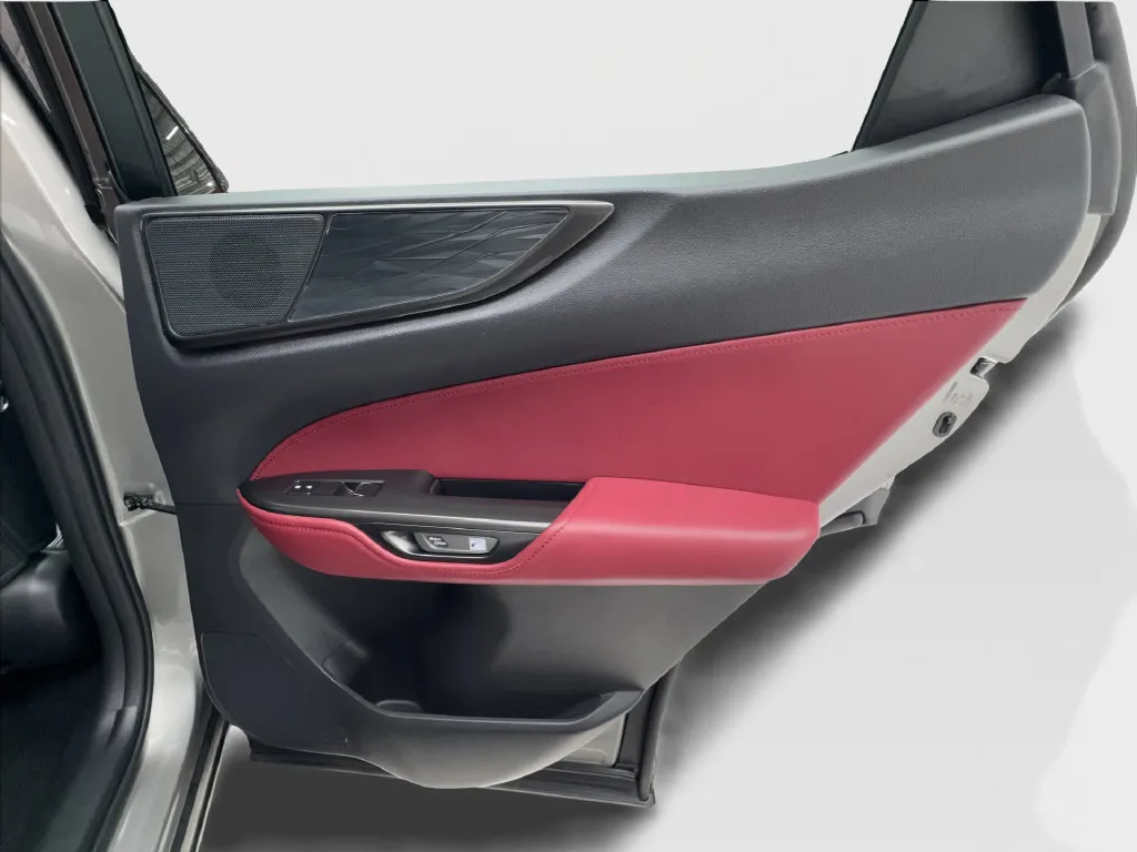 Lexus NX photo 33