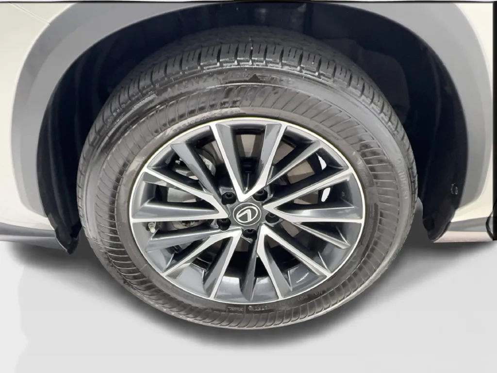 Lexus NX photo 15