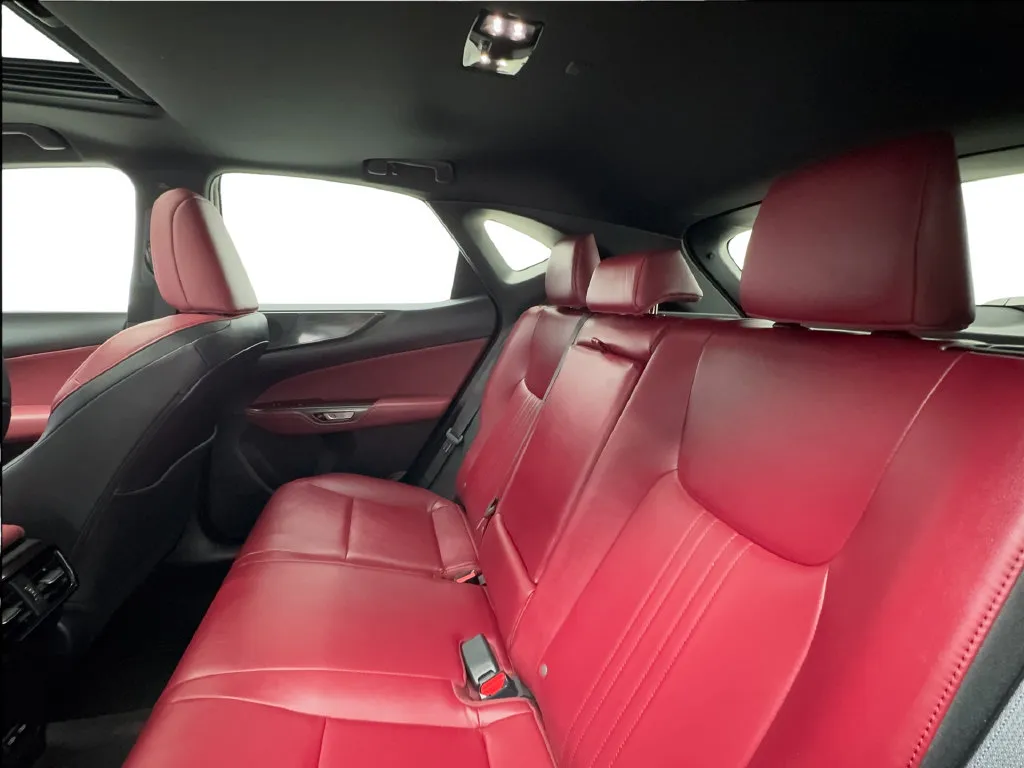 Lexus NX photo 28